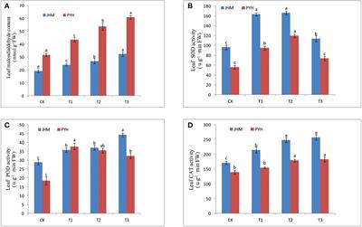 Comparative analysis of drought stress-induced physiological and transcriptional changes of two black sesame cultivars during anthesis